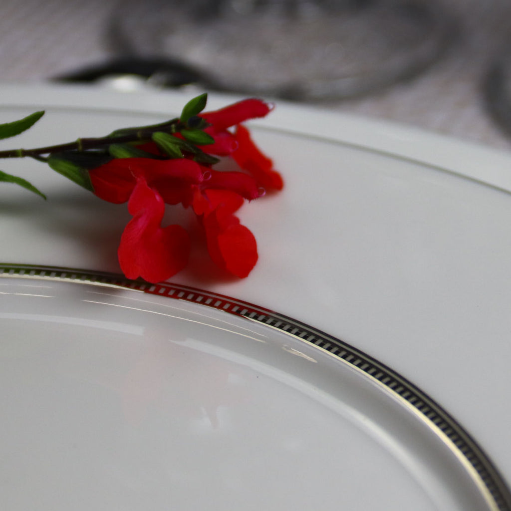 Degrenne plate with rim and red salvia zoomed