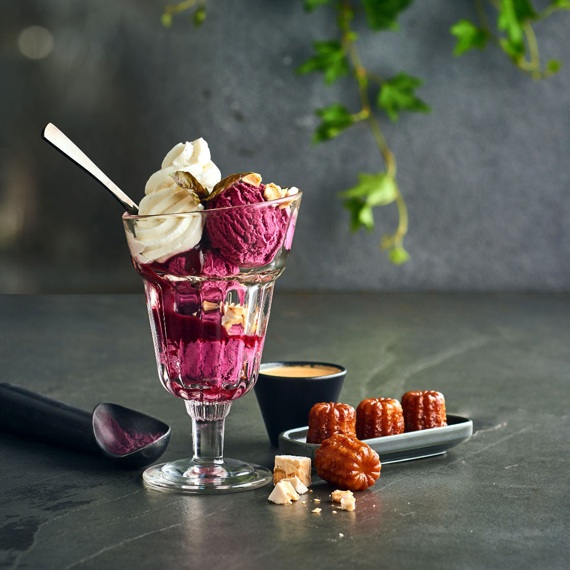 Hochwertige Dessertbecher und Sorbetbecher – French Connoisseur